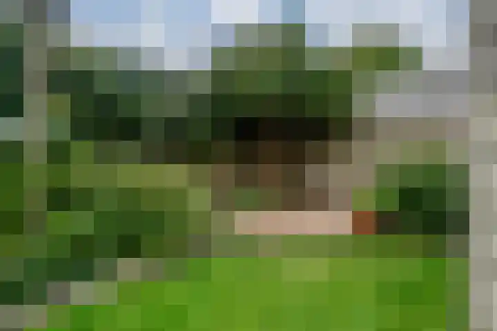 Bosboomstraat 2 Duiven thumbnail 27