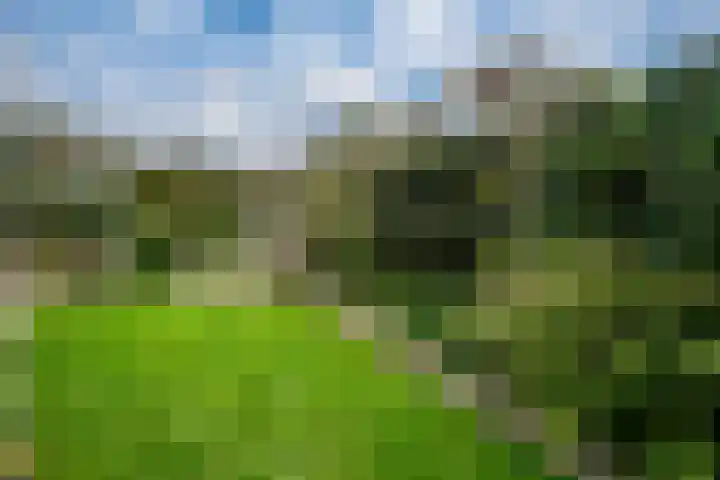 Bosboomstraat 2 Duiven thumbnail 28