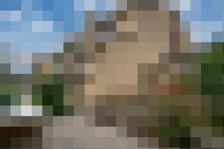 Bosboomstraat 2 Duiven thumbnail 31