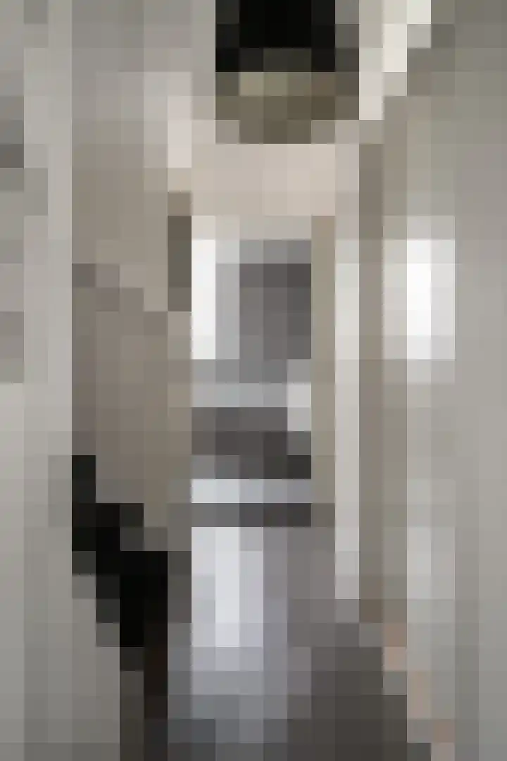 Bosboomstraat 2 Duiven thumbnail 35