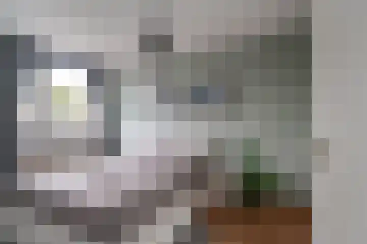Bosboomstraat 2 Duiven thumbnail 36