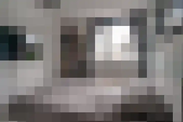 Bosboomstraat 2 Duiven thumbnail 37