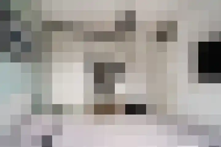 Bosboomstraat 2 Duiven thumbnail 38