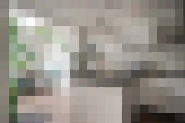 Bosboomstraat 2 Duiven thumbnail 4