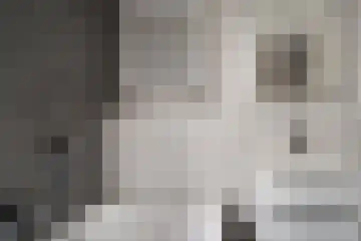 Bosboomstraat 2 Duiven thumbnail 48