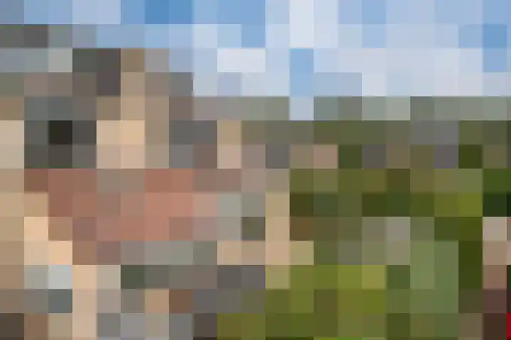 Bosboomstraat 2 Duiven thumbnail 5