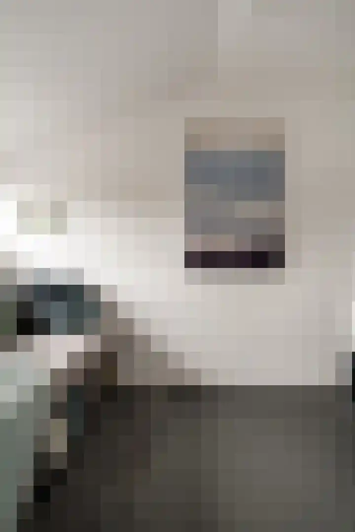Bosboomstraat 2 Duiven thumbnail 59