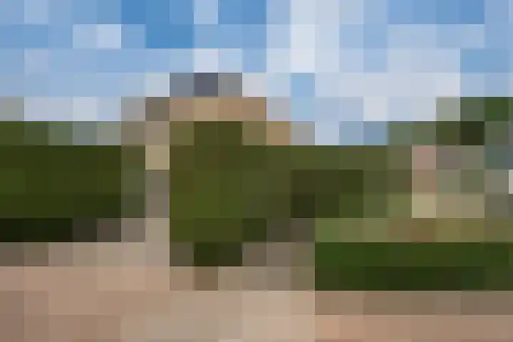 Bosboomstraat 2 Duiven thumbnail 62