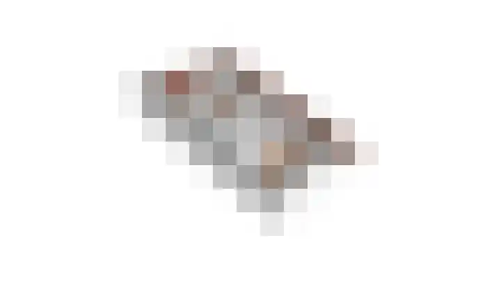 Bosboomstraat 2 Duiven thumbnail 71