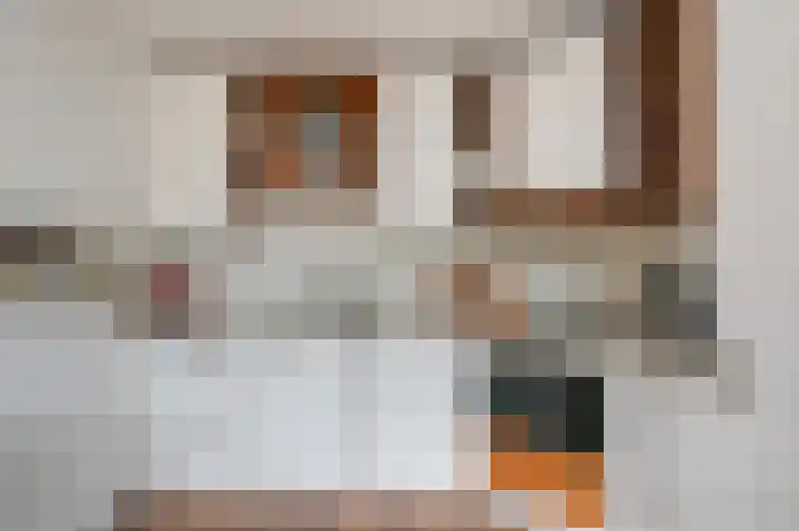 Bosboomstraat 6 Duiven thumbnail 12