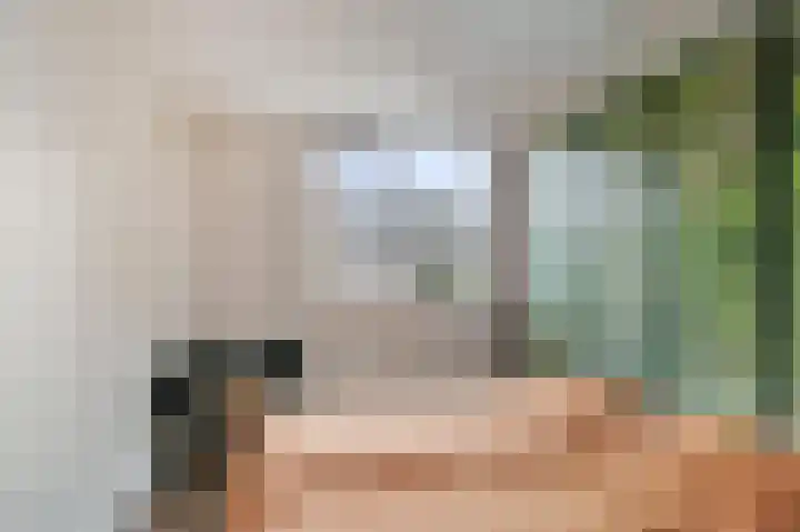 Bosboomstraat 6 Duiven thumbnail 18