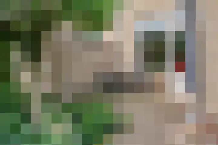 Bosboomstraat 6 Duiven thumbnail 24
