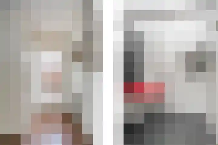 Bosboomstraat 6 Duiven thumbnail 4