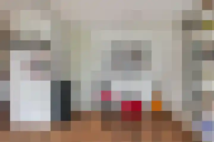 Bosboomstraat 6 Duiven thumbnail 9