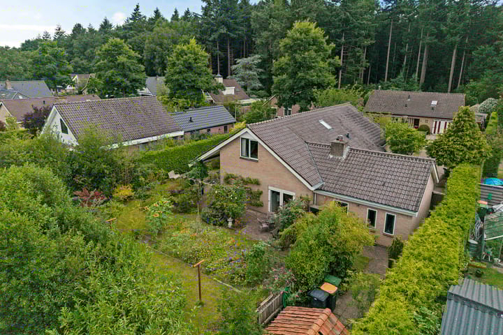 Bosbouwkamp 16 in Vledder foto