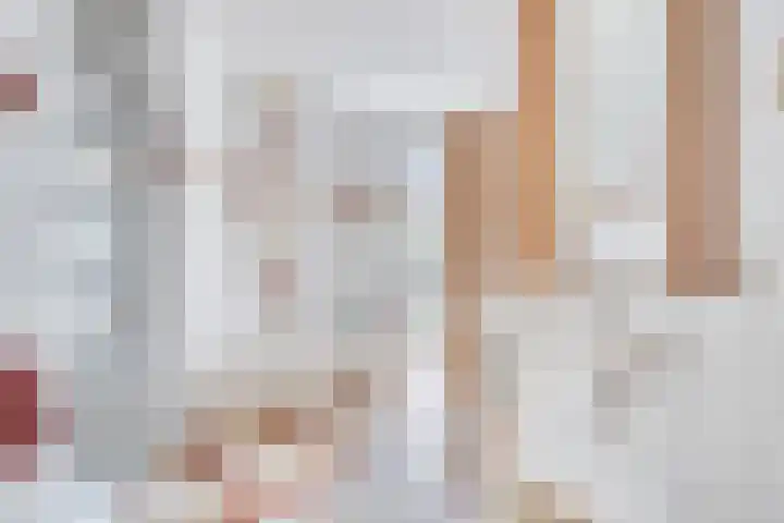 Bosch 16 Budel thumbnail 13