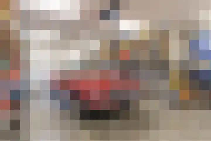 Bosch 16 Budel thumbnail 14