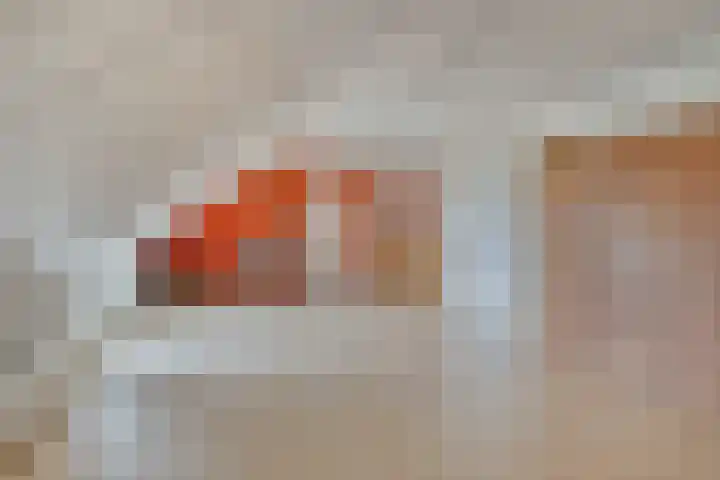 Bosch 16 Budel thumbnail 16