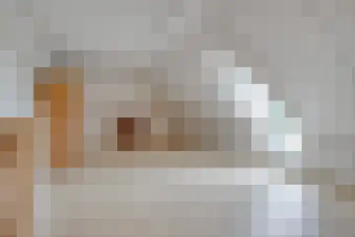 Bosch 16 Budel thumbnail 17