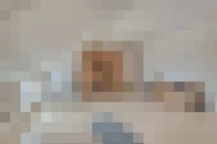 Bosch 16 Budel thumbnail 19