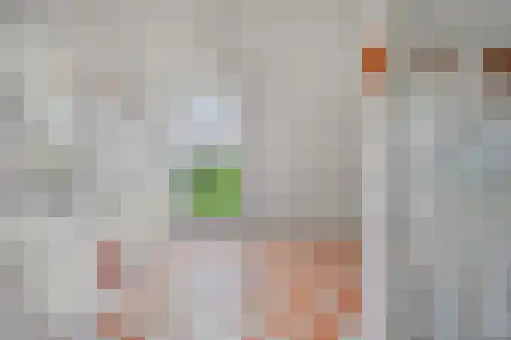 Bosch 16 Budel thumbnail 20