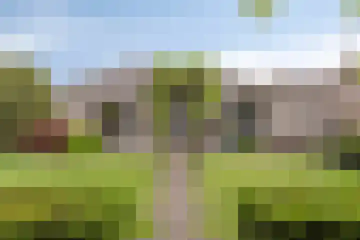 Bosch 16 Budel thumbnail 23