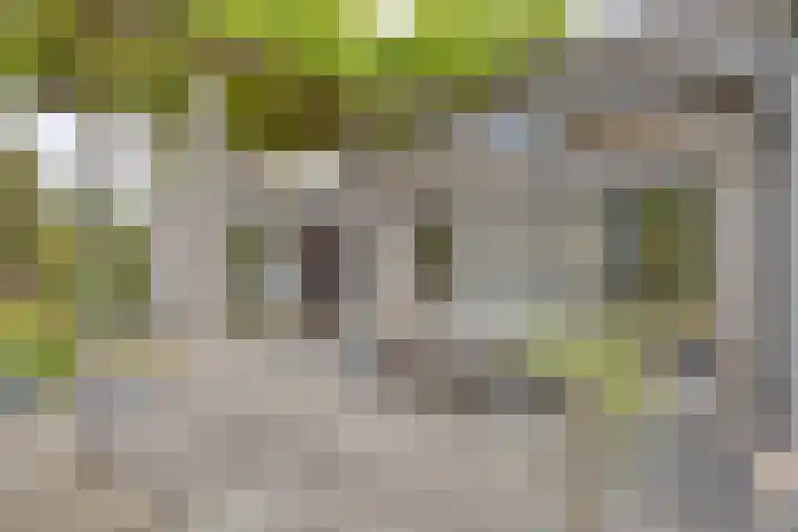 Bosch 16 Budel thumbnail 24