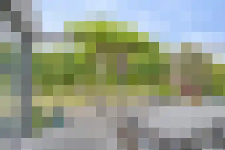 Bosch 16 Budel thumbnail 25