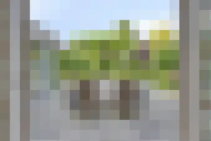 Bosch 16 Budel thumbnail 26