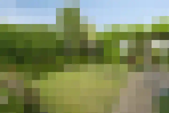 Bosch 16 Budel thumbnail 27