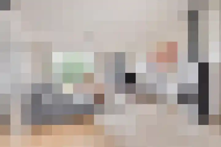 Bosch 16 Budel thumbnail 6