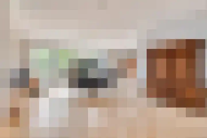 Bosch 16 Budel thumbnail 7