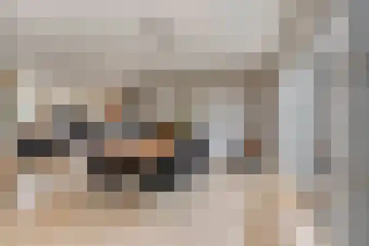 Bosch 16 Budel thumbnail 8