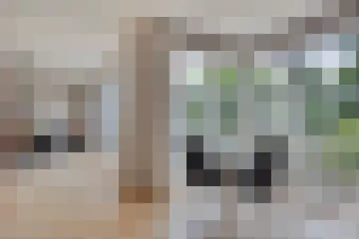 Bosch 16 Budel thumbnail 9