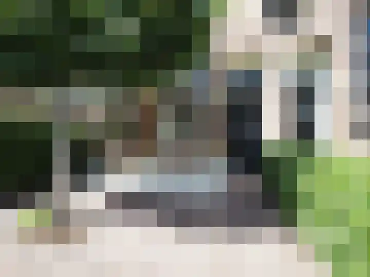 Bosch 42 Papendrecht thumbnail 13