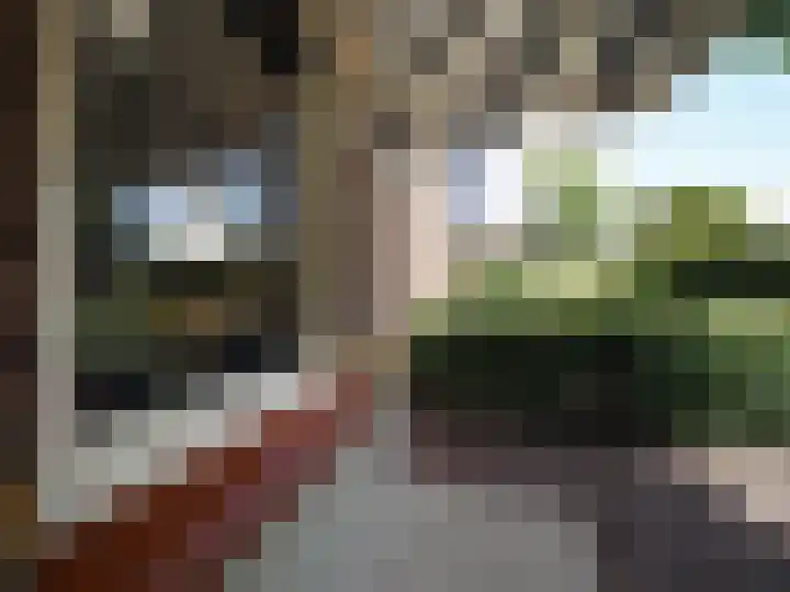 Bosch 42 Papendrecht thumbnail 14