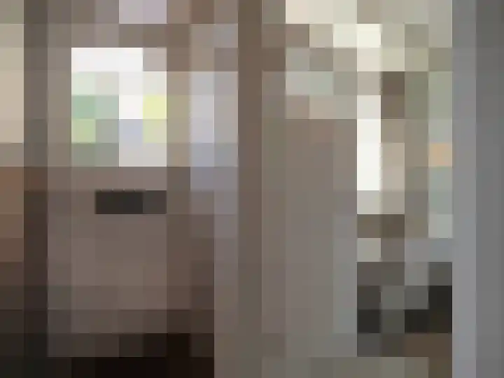 Bosch 42 Papendrecht thumbnail 17