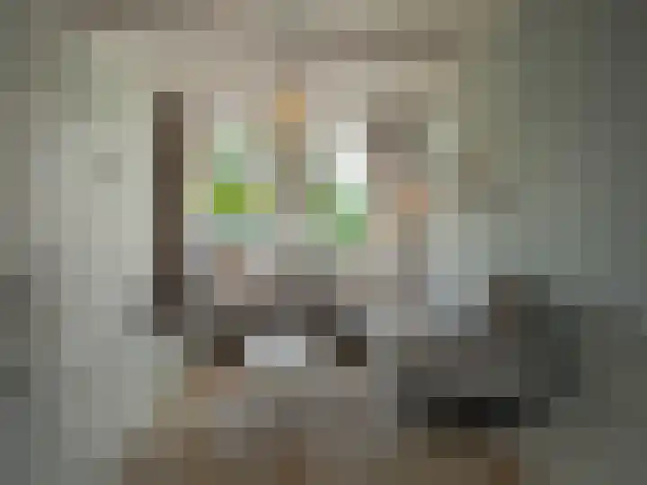 Bosch 42 Papendrecht thumbnail 20