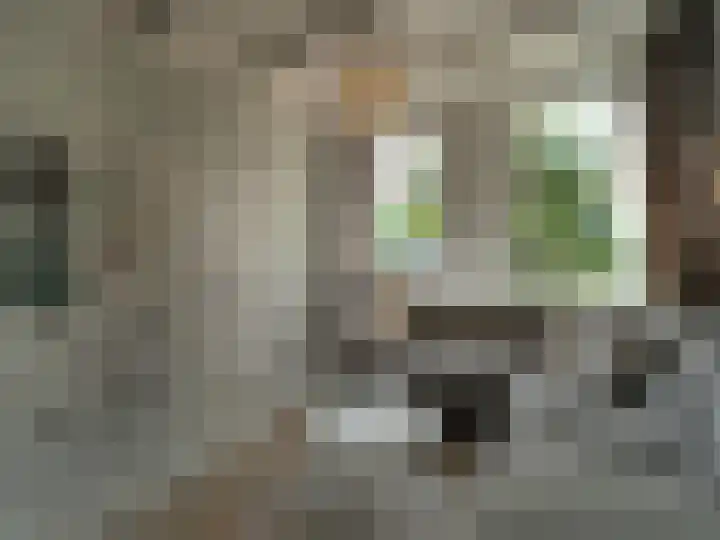 Bosch 42 Papendrecht thumbnail 21