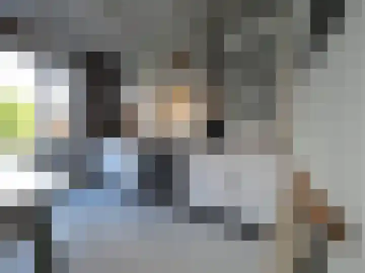 Bosch 42 Papendrecht thumbnail 31