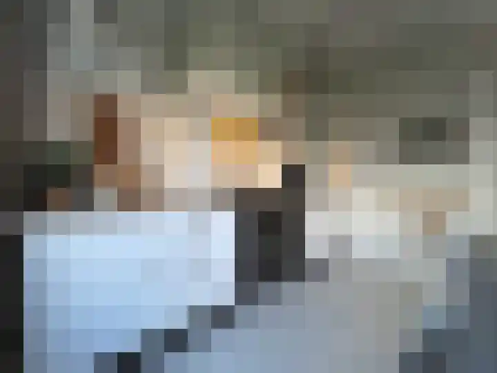 Bosch 42 Papendrecht thumbnail 33
