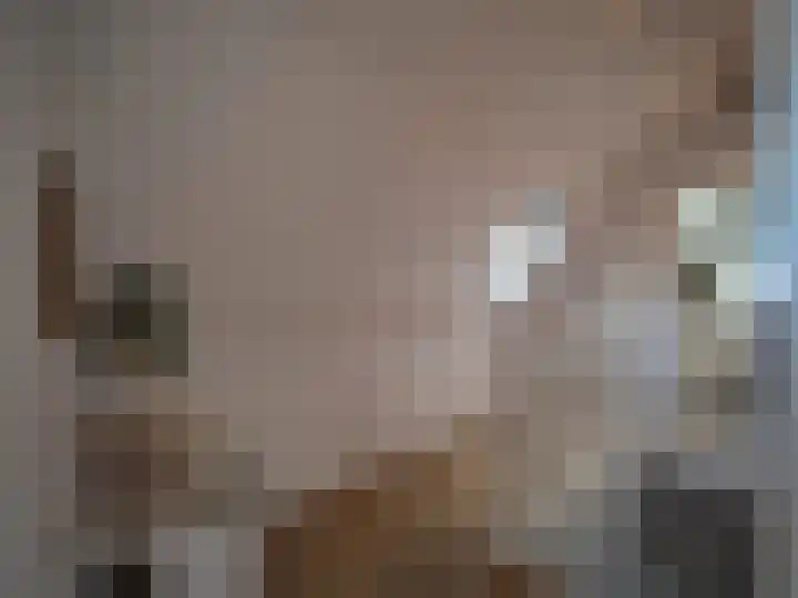 Bosch 42 Papendrecht thumbnail 40