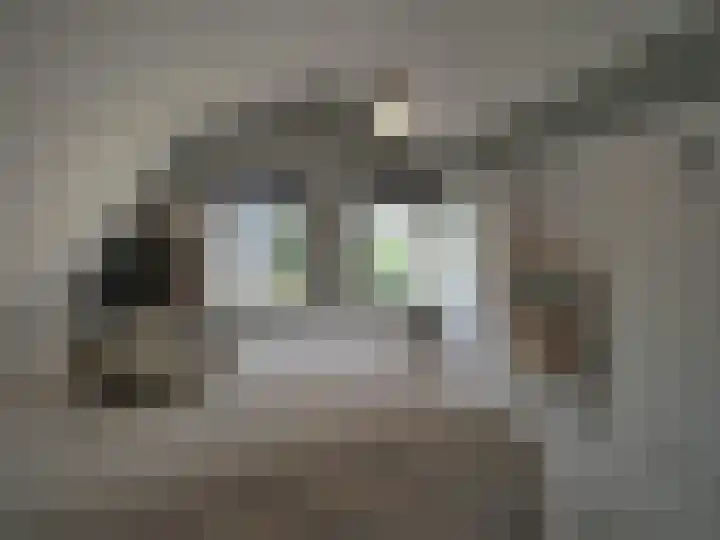 Bosch 42 Papendrecht thumbnail 42