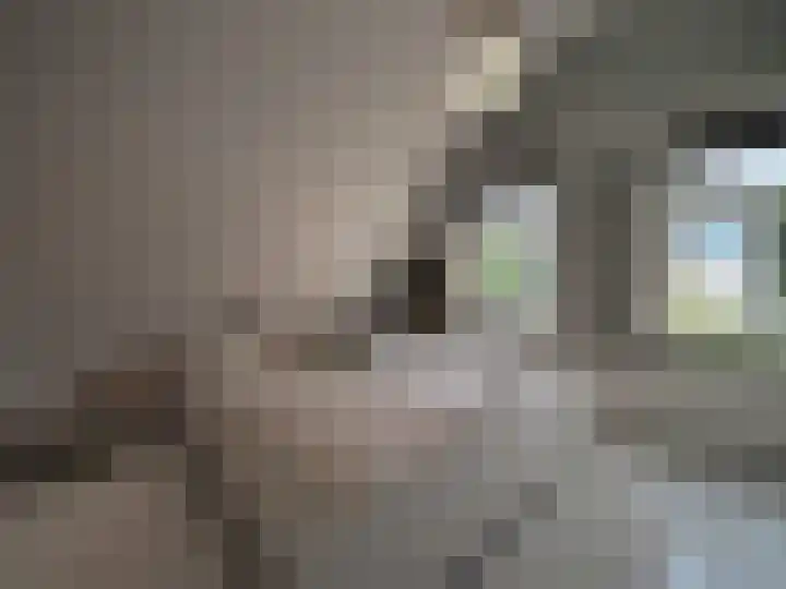 Bosch 42 Papendrecht thumbnail 43