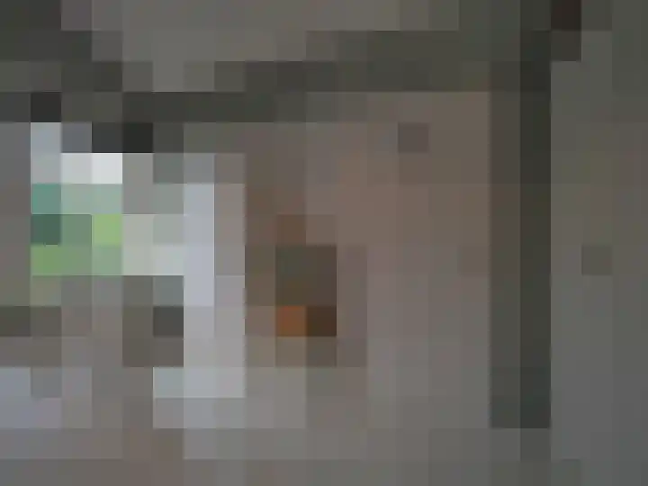 Bosch 42 Papendrecht thumbnail 45