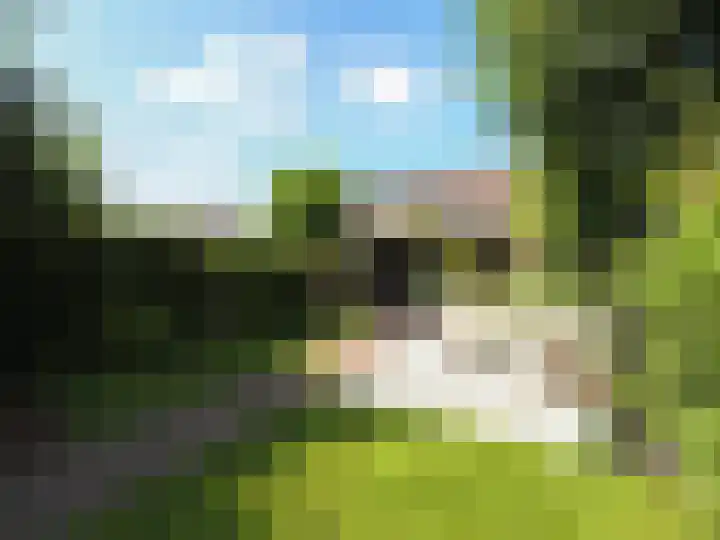 Bosch 42 Papendrecht thumbnail 5