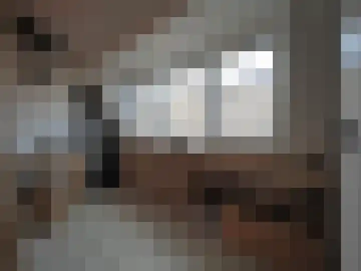 Bosch 42 Papendrecht thumbnail 52