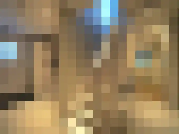 Bosch 42 Papendrecht thumbnail 54