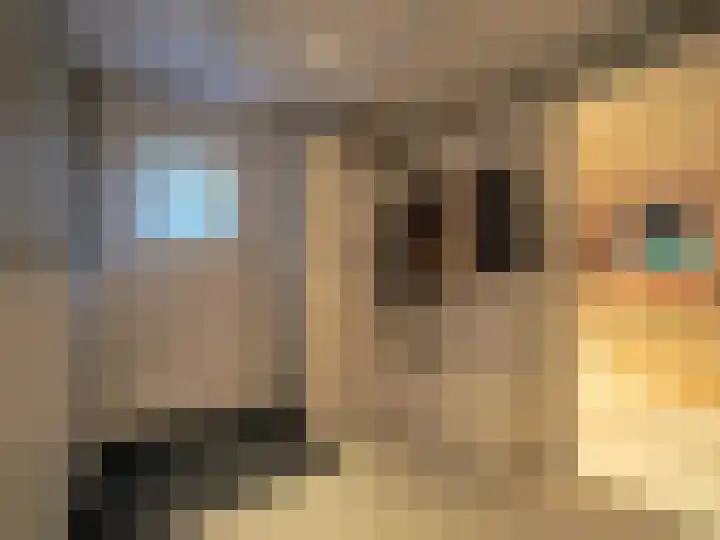 Bosch 42 Papendrecht thumbnail 55