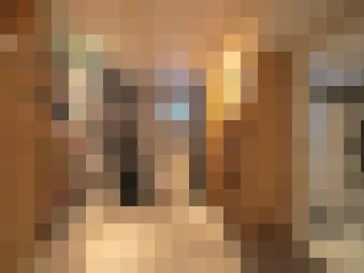 Bosch 42 Papendrecht thumbnail 65